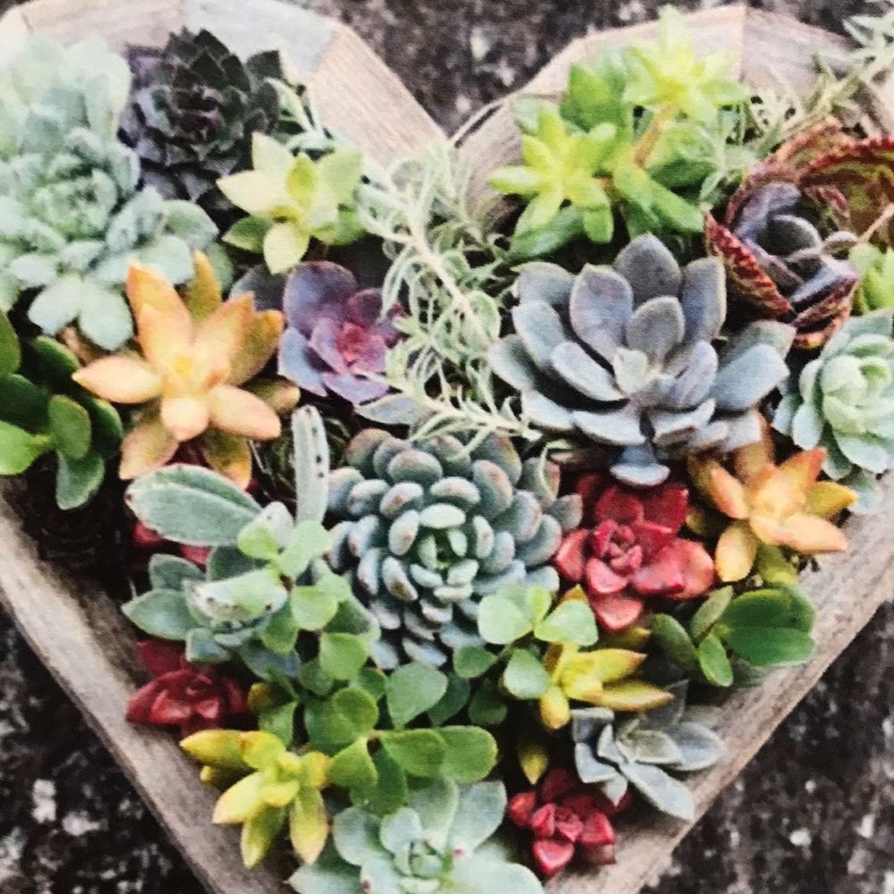 Meet your Posher, Sheena